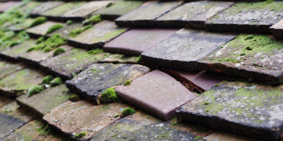 Hampden Park roof repair costs